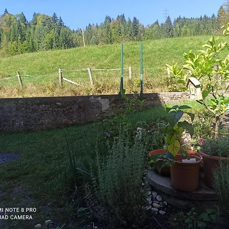 Apartamento Trauninsel Bad Aussee