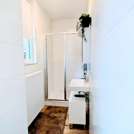 Trauninsel Appartement