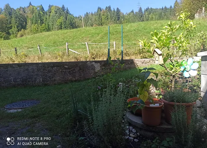 Apartamento Trauninsel Bad Aussee